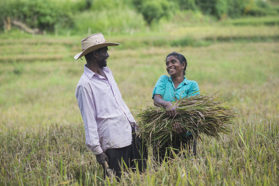 Commercial Milling System
